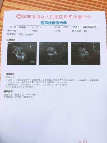 journal_insert_pic_1053221552