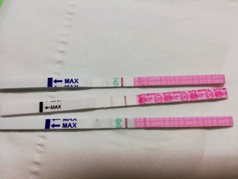 journal_insert_pic_1053917131
