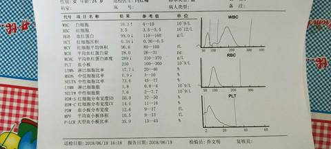 journal_insert_pic_1053521536