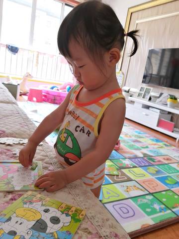 journal_insert_pic_1053598833