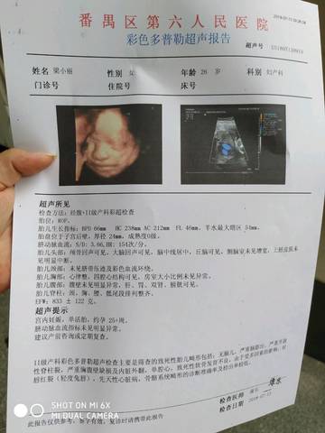 journal_insert_pic_1053627041