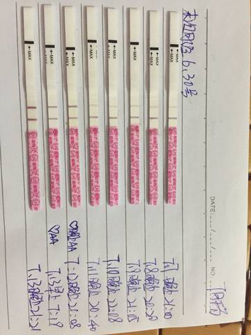 journal_insert_pic_1053896054