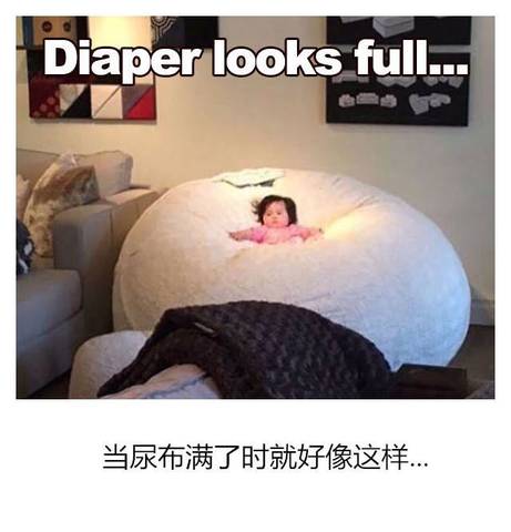 journal_insert_pic_1055481050
