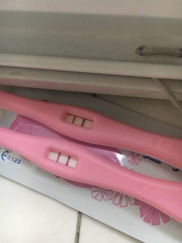journal_insert_pic_1055691876