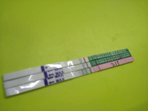 journal_insert_pic_1056474190