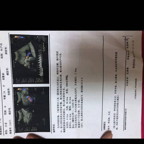 journal_insert_pic_1056421001
