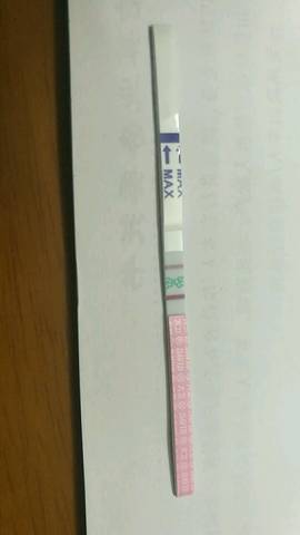 journal_insert_pic_1056544996