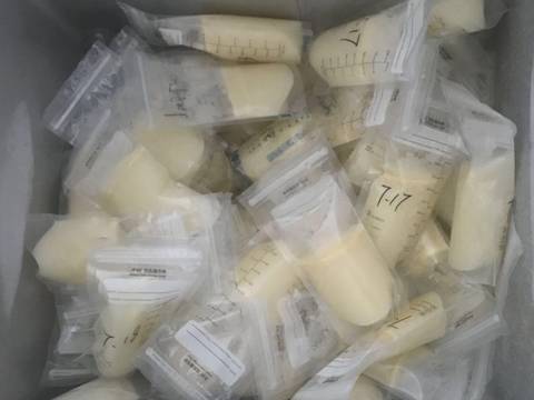 journal_insert_pic_1056766226