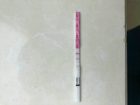 journal_insert_pic_1056820756