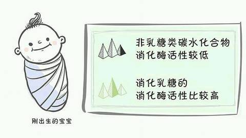 journal_insert_pic_1057639987