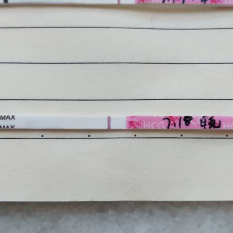 journal_insert_pic_1057776023