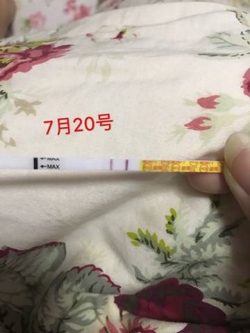 journal_insert_pic_1058302417