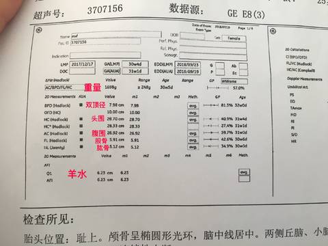 journal_insert_pic_1057917570