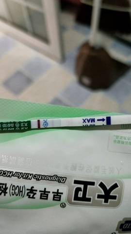 journal_insert_pic_1057863452