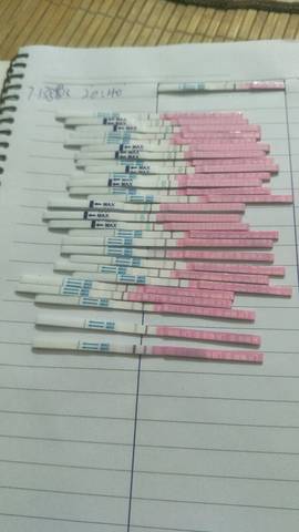 journal_insert_pic_1058185709