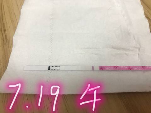 journal_insert_pic_1058438077