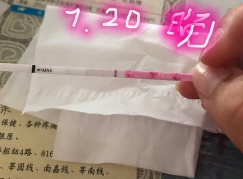 journal_insert_pic_1058438080