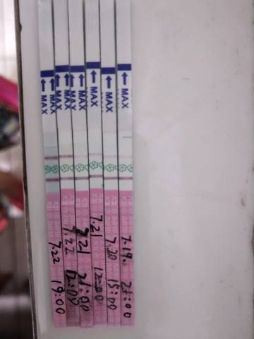 journal_insert_pic_1059441160