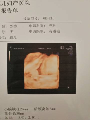 journal_insert_pic_1059385758