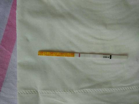journal_insert_pic_1059881385