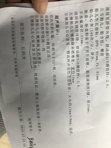 journal_insert_pic_1060671916