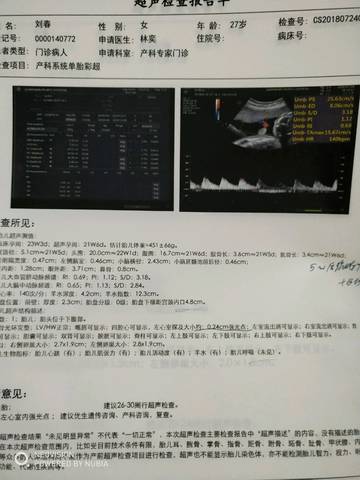 journal_insert_pic_1060801561