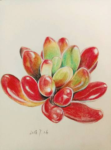 journal_insert_pic_1060476950