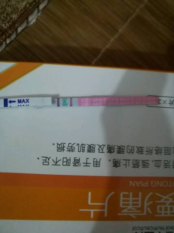 journal_insert_pic_1061536865