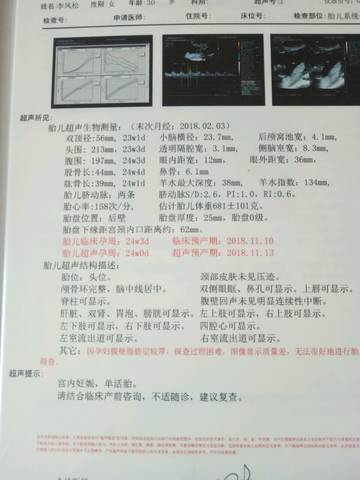 journal_insert_pic_1061037098