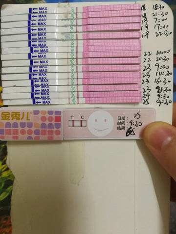 journal_insert_pic_1061132821