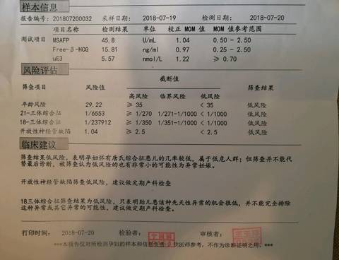 journal_insert_pic_1061872591