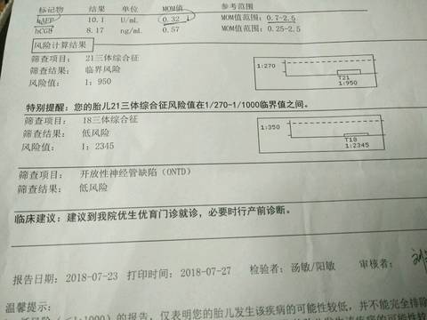 journal_insert_pic_1062510726