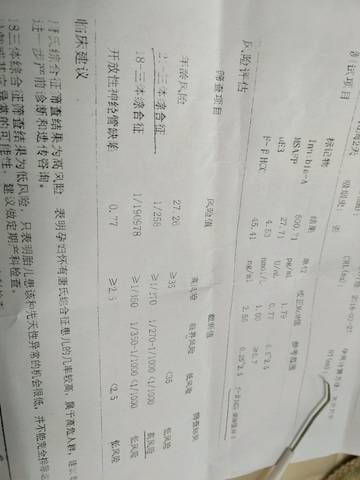 journal_insert_pic_1062322218