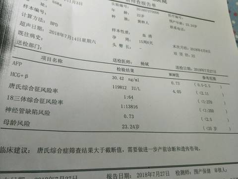 journal_insert_pic_1063020716