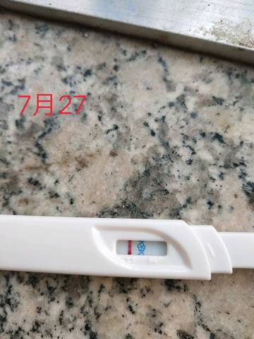 journal_insert_pic_1062834536