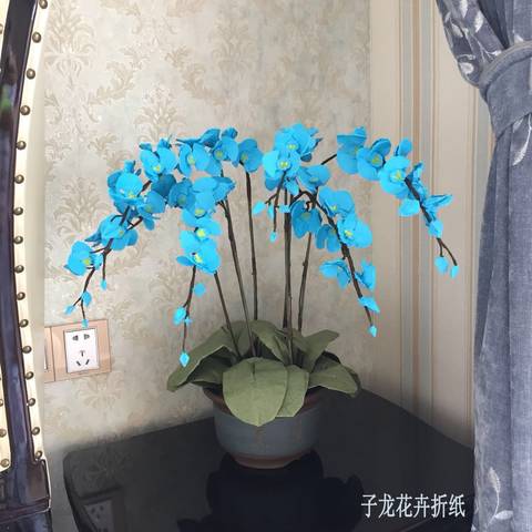 journal_insert_pic_1063650226