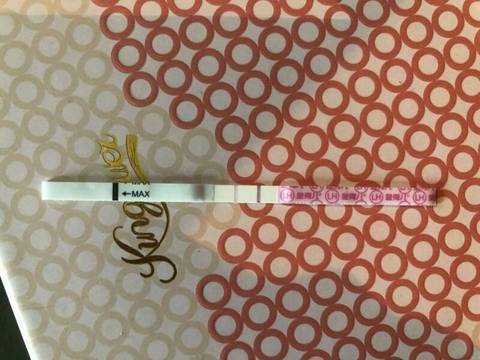 journal_insert_pic_1063742131