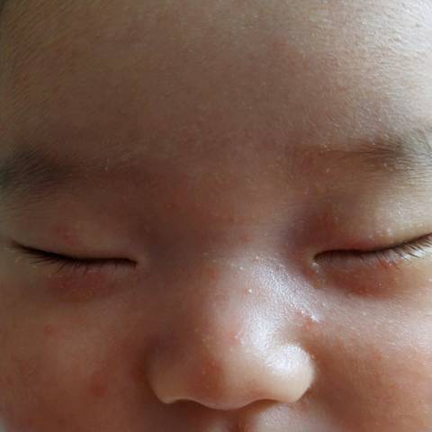journal_insert_pic_1065345771