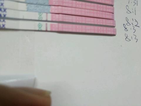 journal_insert_pic_1067095710