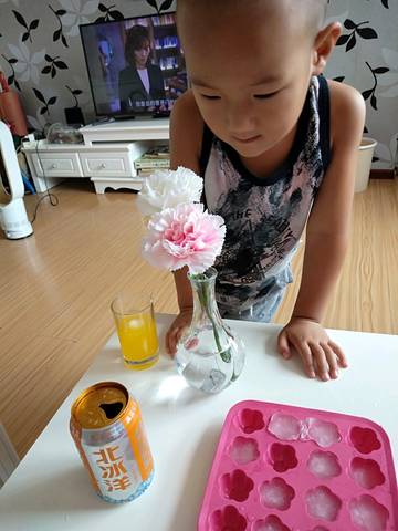 journal_insert_pic_1067768437