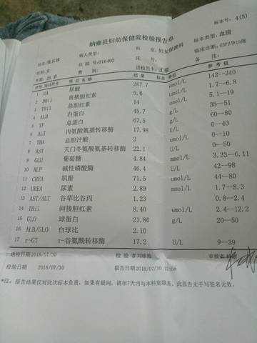 journal_insert_pic_1067535057