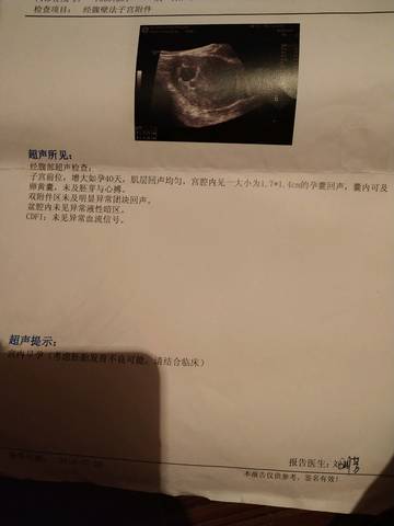 journal_insert_pic_1067416760