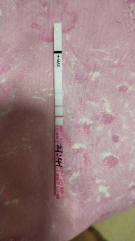 journal_insert_pic_1068459887