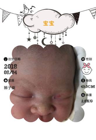 journal_insert_pic_1067905202