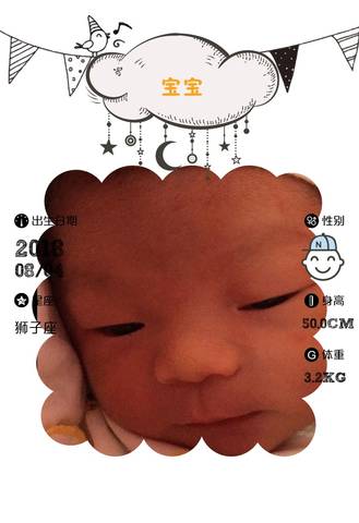 journal_insert_pic_1068330328