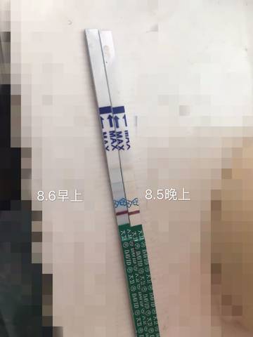 journal_insert_pic_1068825101