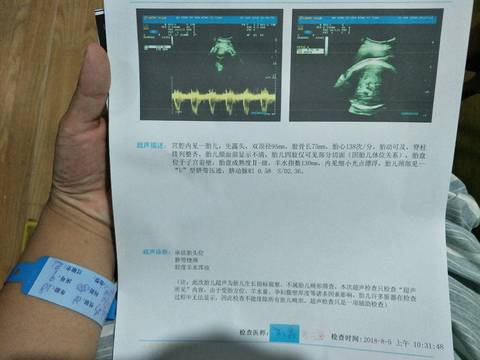 journal_insert_pic_1068541008