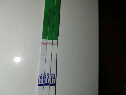 journal_insert_pic_1069021549