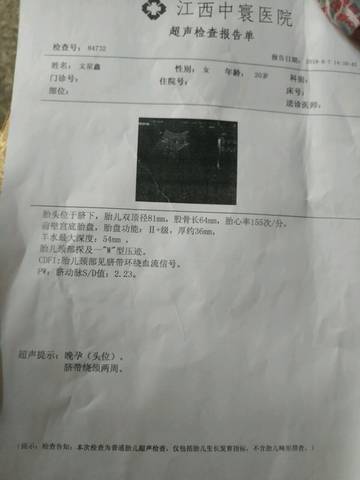 journal_insert_pic_1069563658