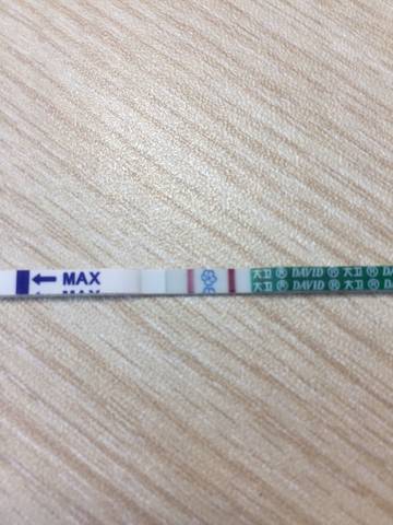 journal_insert_pic_1069267464